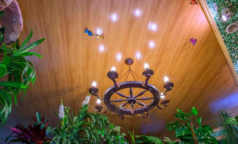 Баня На Олимпийской — сауны и бани Харькова